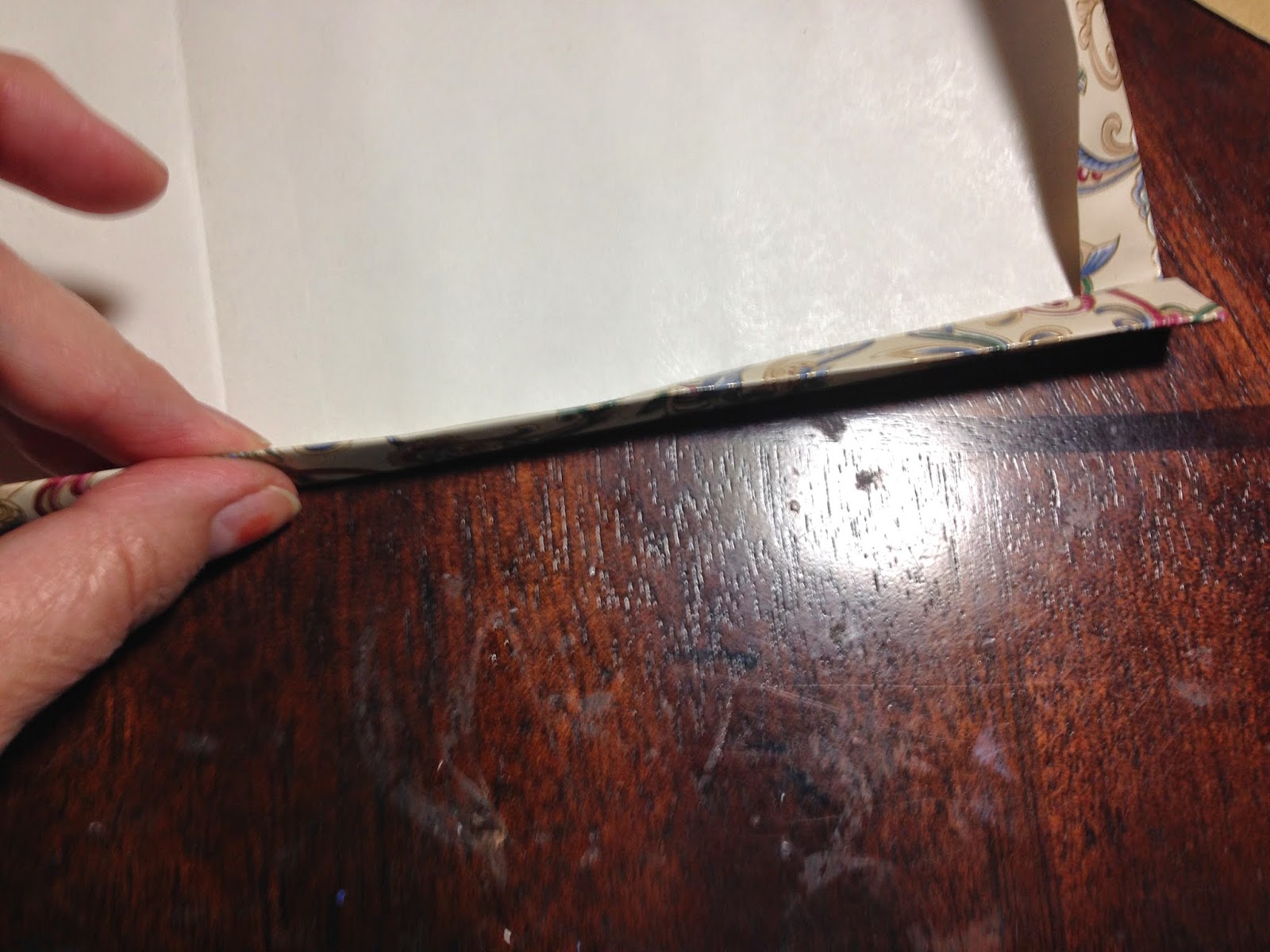 Mousie Mom's ***** Recycle Mailing Envelopes